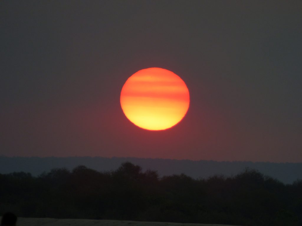 African sunset, Sheila Sims
