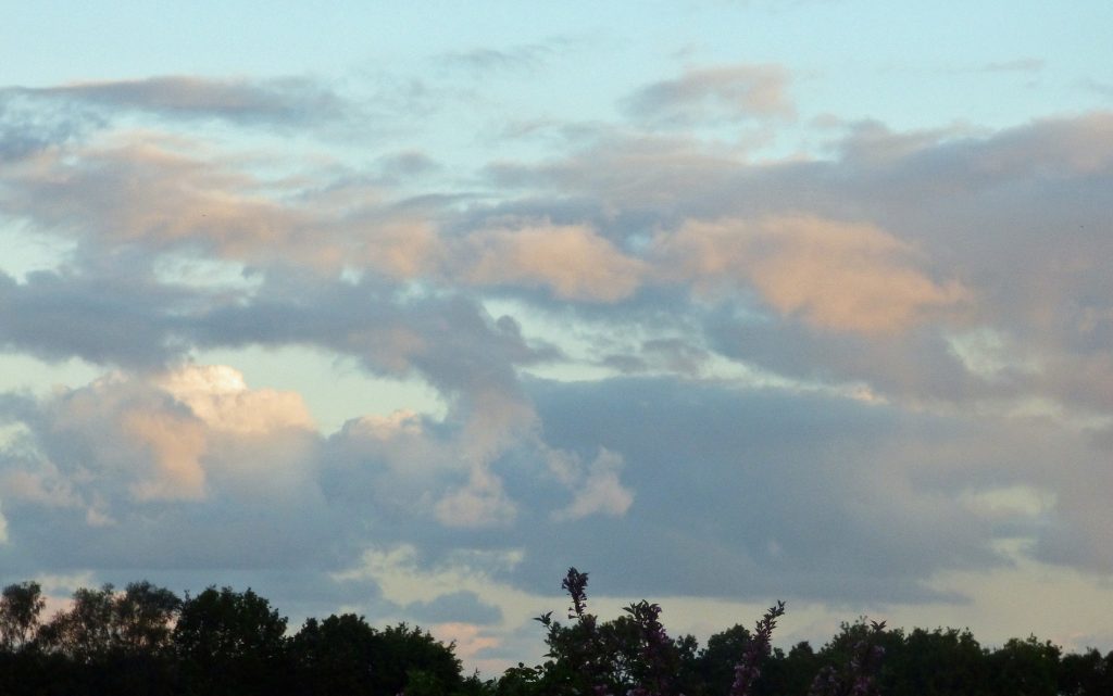 Evening clouds in June – Sheila Sims