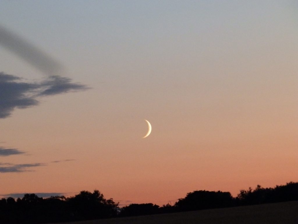 July Sunset – Sheila Sims