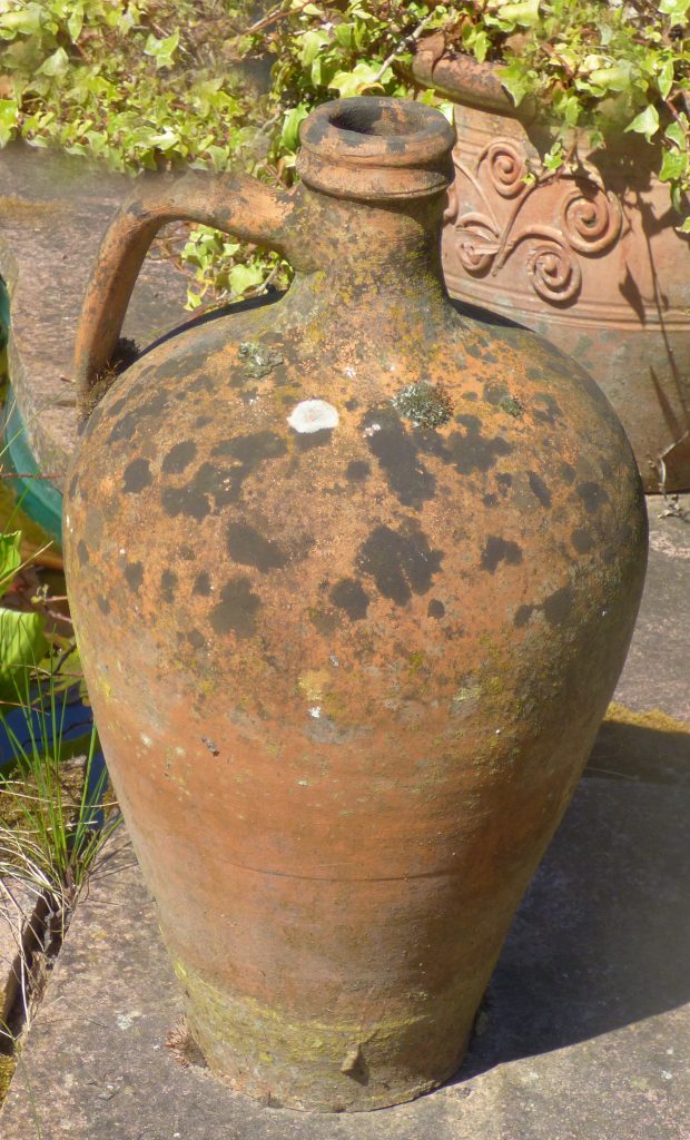 Garden urn – good nursery! Sheila Sims