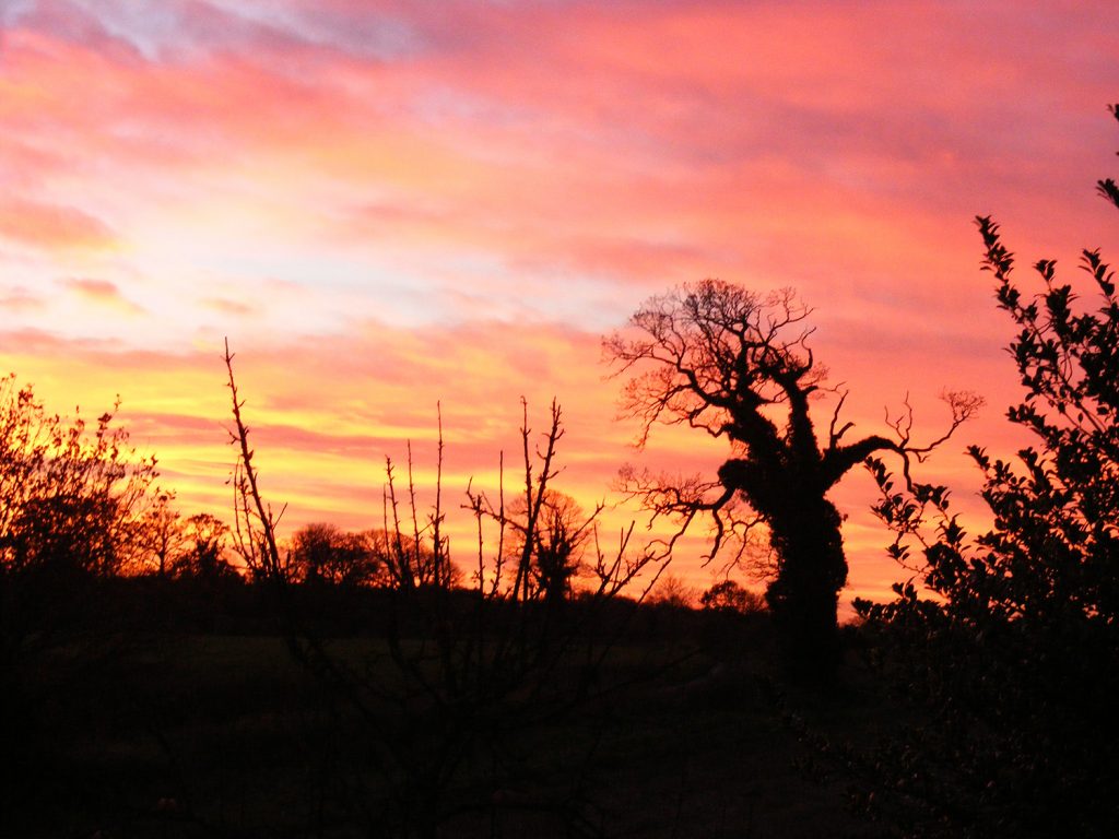 Winter sunset, Sheila Sims