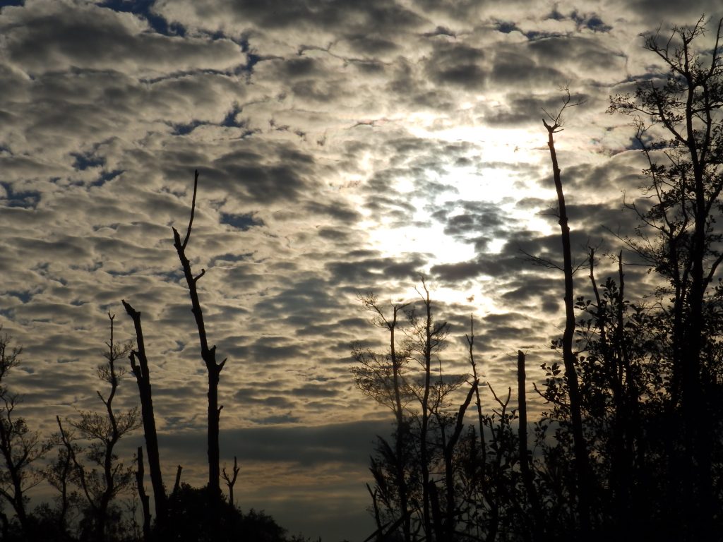 October sky, Sheila Sims