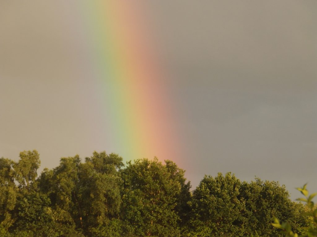 September rainbow, Sheila Sims