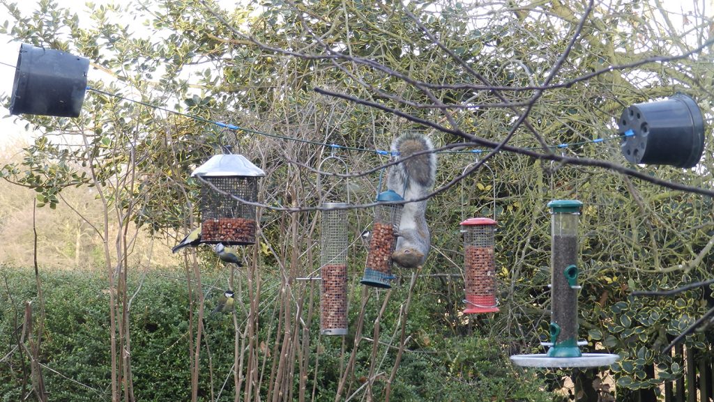 Back to the drawing board, humans!