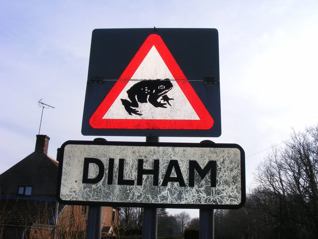Toad crossing, Dilham, Sheila Sims